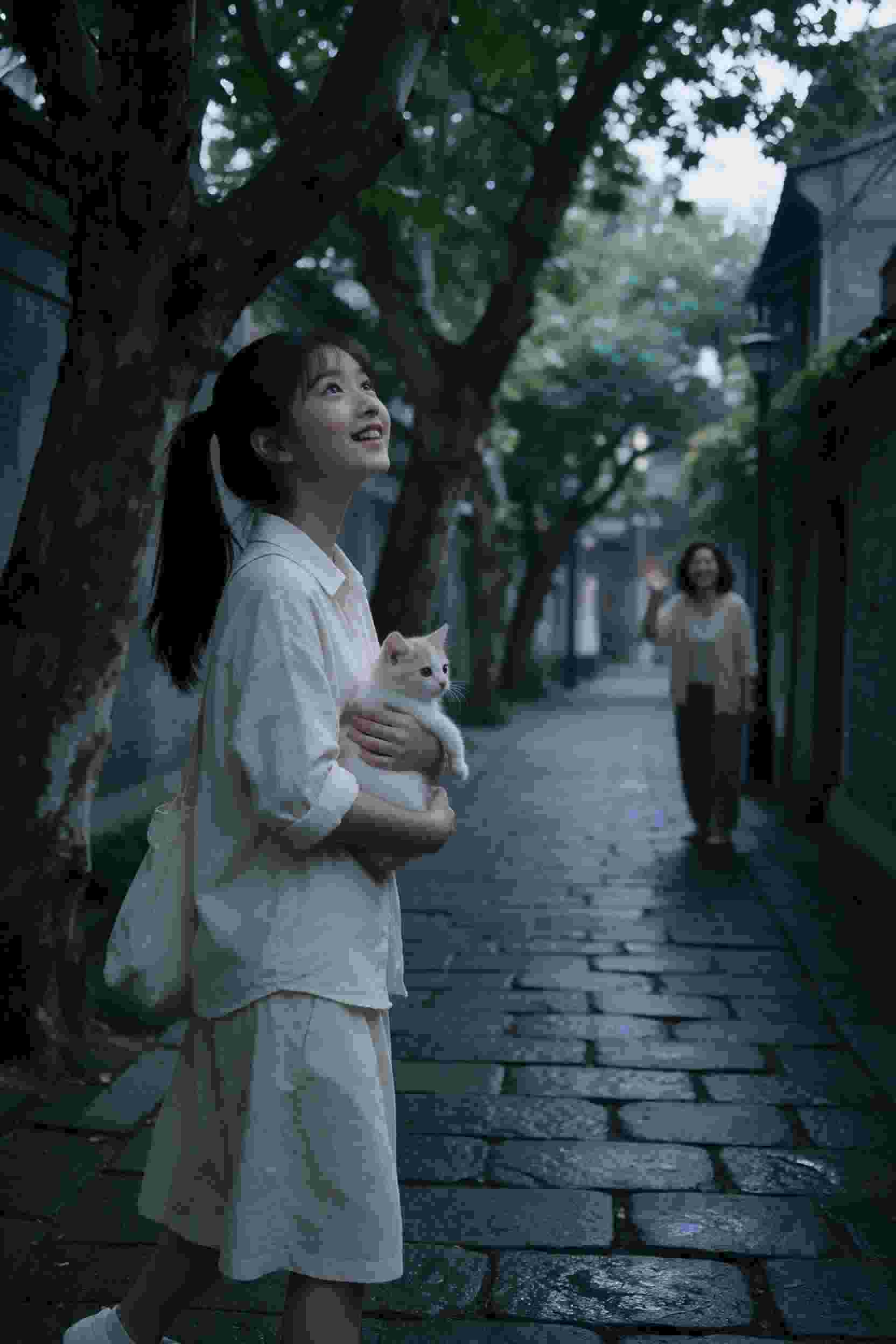 雨季的相遇