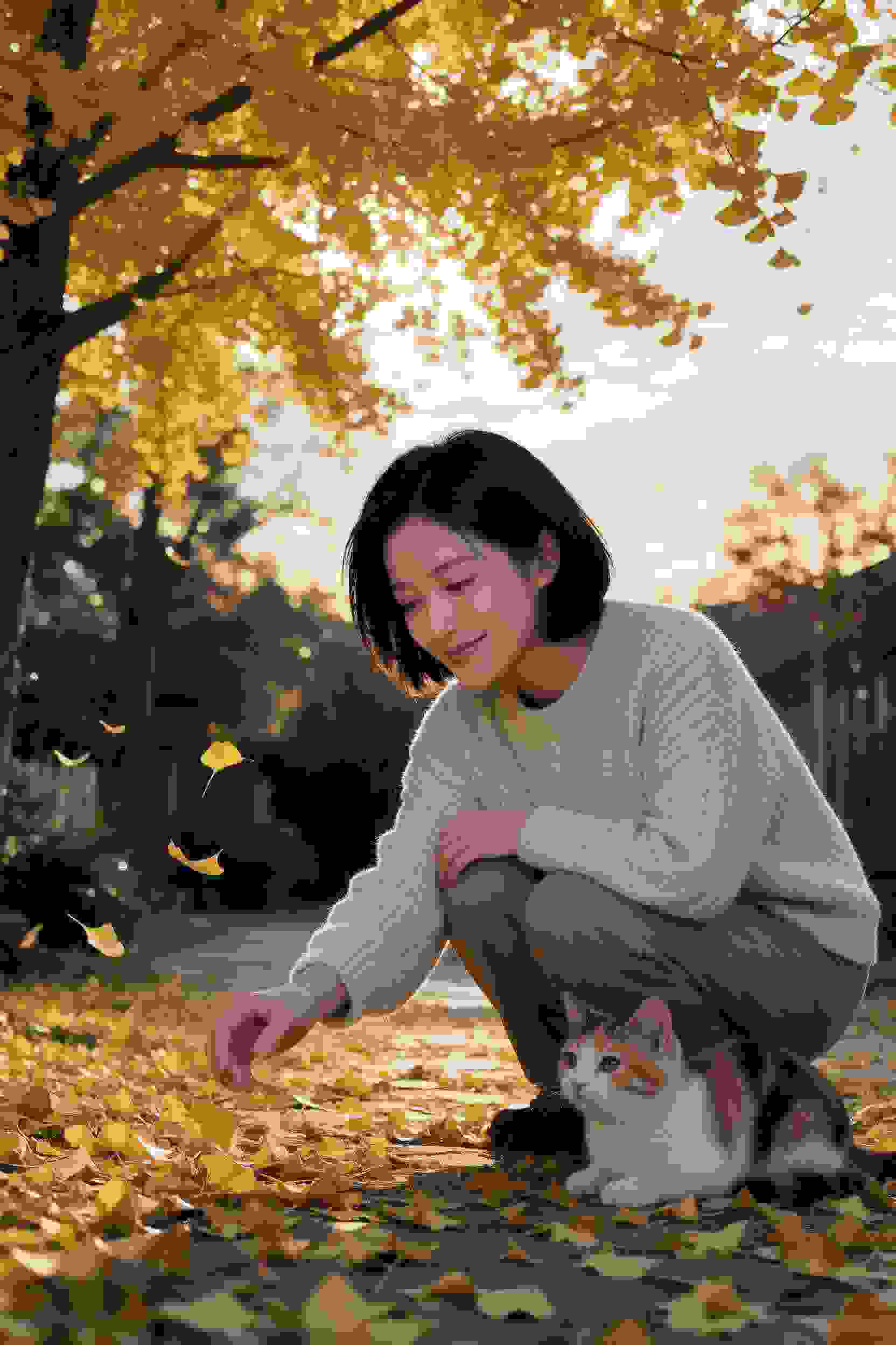 朝代之殇